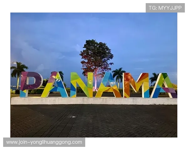 新濠国际发展有限公司的品牌建设与市场推广策略全景解读