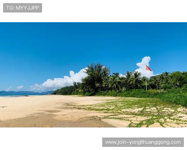 皇庭海景娱乐场环境介绍，感受优雅海景环境中的高端娱乐体验